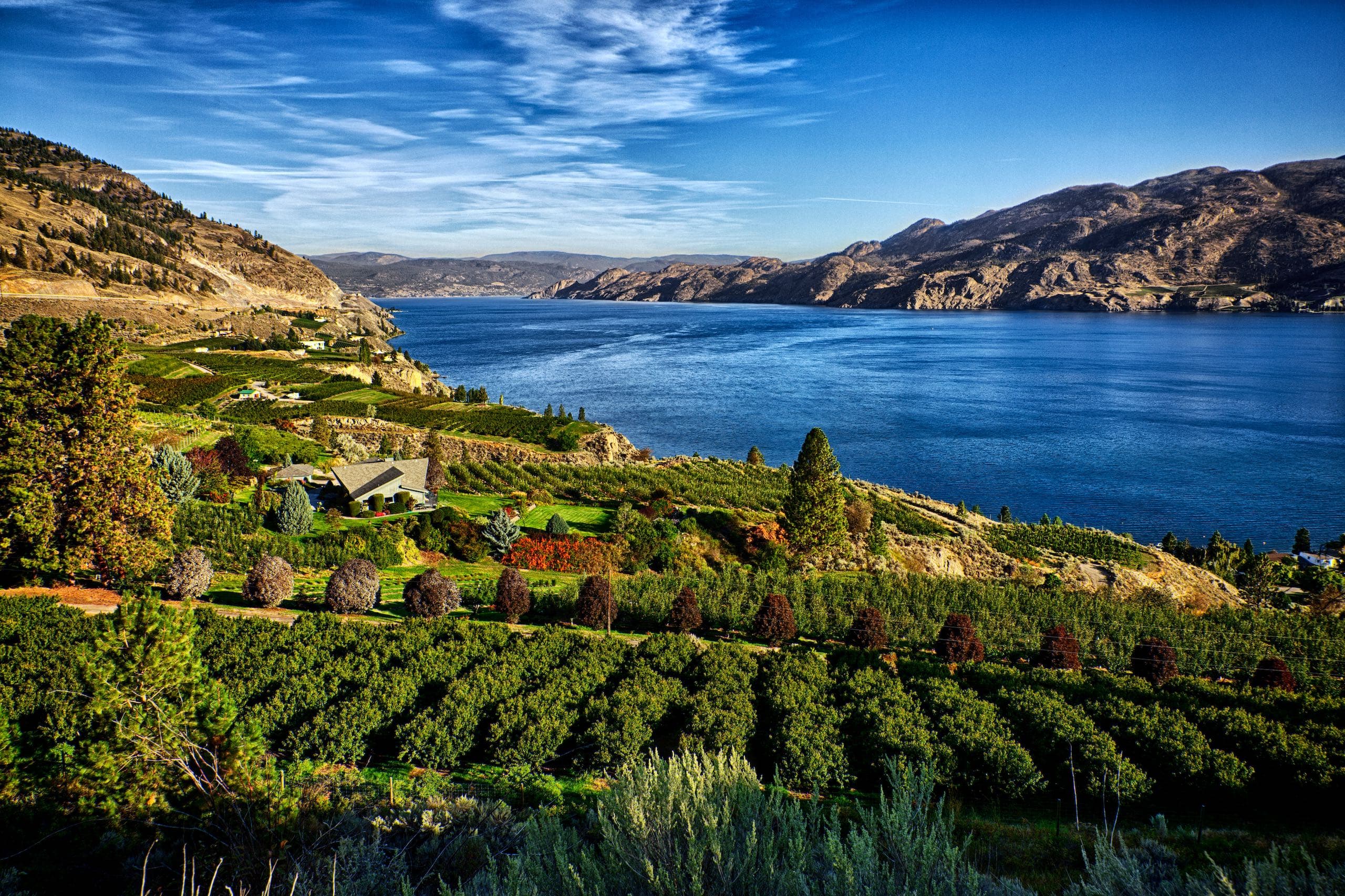 Okanagan Lake with vineyards in the foreground